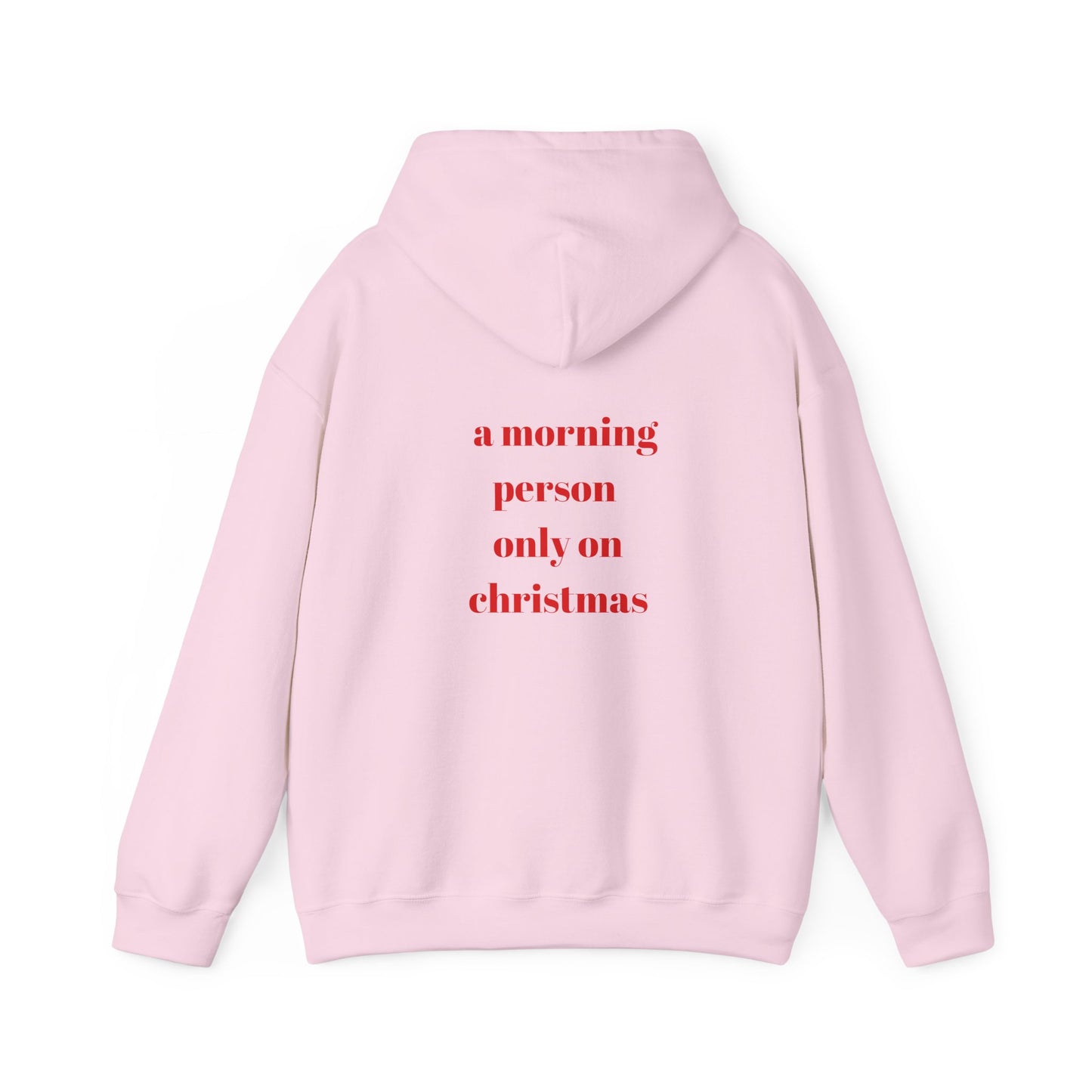 'Not a Morning Person' Hoodie